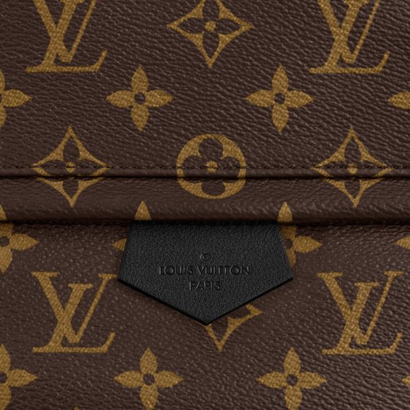 PALM SPRINGS MM Louis Vuitton Backpack - Picture 5 of 6